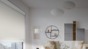 Horizontal Blinds